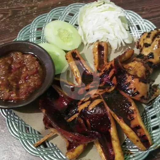 Sotong Raja